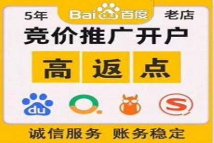 SEM托管服务，实战案例展示营销效果